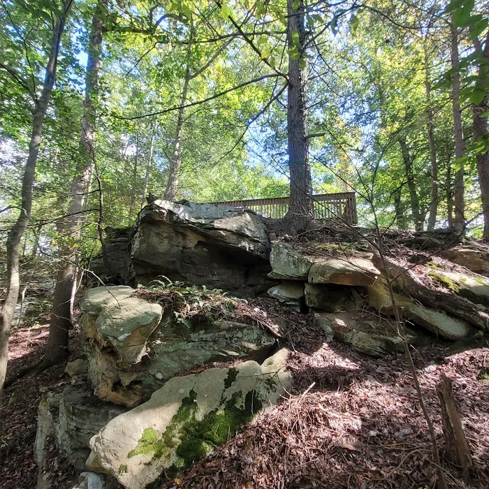 Cumberland Falls RV Campground Picture 3