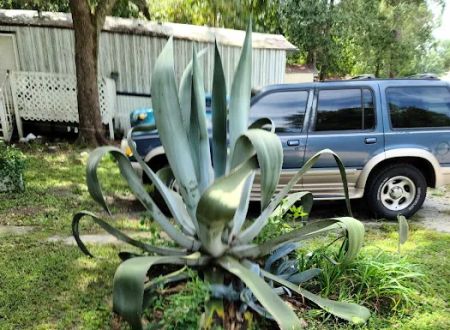 McGregor Downs Mobile Home Pk