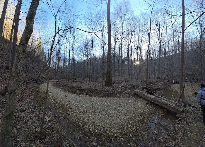 Jefferson Memorial Forest- Horine Campgrounds Picture 1