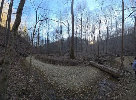 Jefferson Memorial Forest- Horine Campgrounds