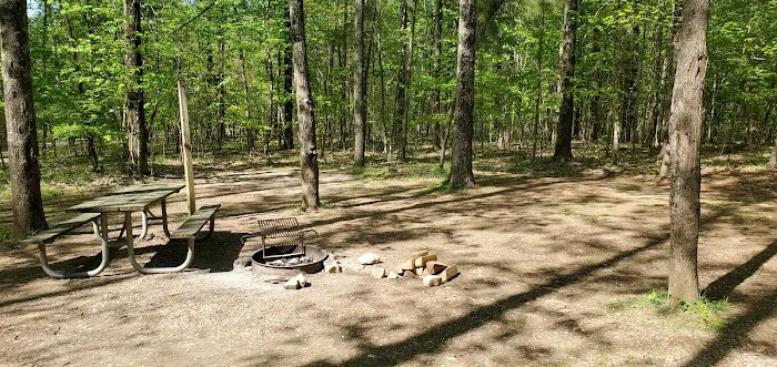 Jefferson Memorial Forest- Horine Campgrounds Picture 4
