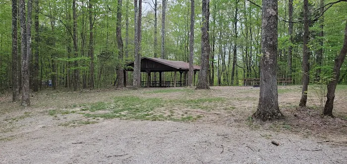 Jefferson Memorial Forest- Horine Campgrounds Picture 5