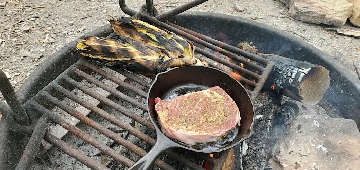 Jefferson Memorial Forest- Horine Campgrounds Picture 6