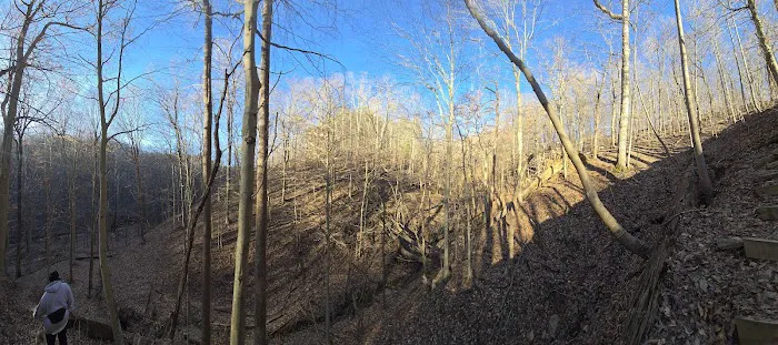 Jefferson Memorial Forest- Horine Campgrounds Picture 9