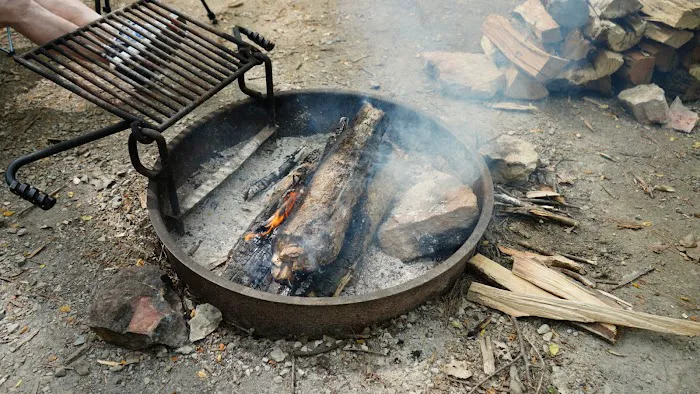 Jefferson Memorial Forest- Horine Campgrounds Picture 8