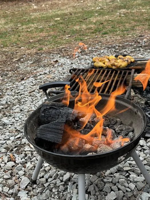 Jefferson Memorial Forest- Horine Campgrounds Picture 7