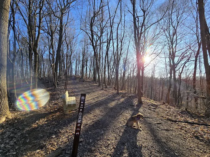 Jefferson Memorial Forest- Horine Campgrounds Picture 10