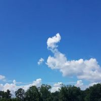 Windemere Cove ico