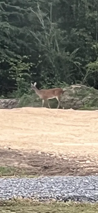 Above The Pocket RV Park Picture 6