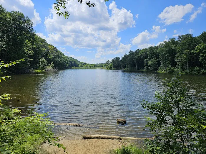 Brown County State Park Raccoon Ridge Campground Picture 3