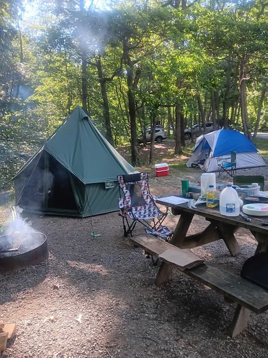 Brown County State Park Raccoon Ridge Campground Picture 2