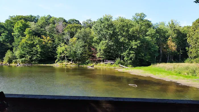 Brown County State Park Raccoon Ridge Campground Picture 7