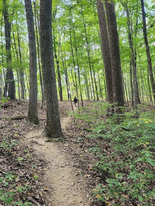 Brown County State Park Taylor Ridge Picture 3