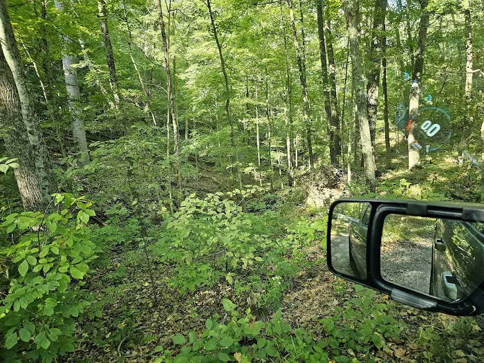 Brown County State Park Taylor Ridge Picture 5