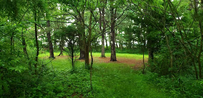 HHC camping Picture 4