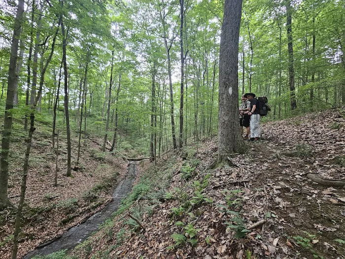 HHC camping Picture 6
