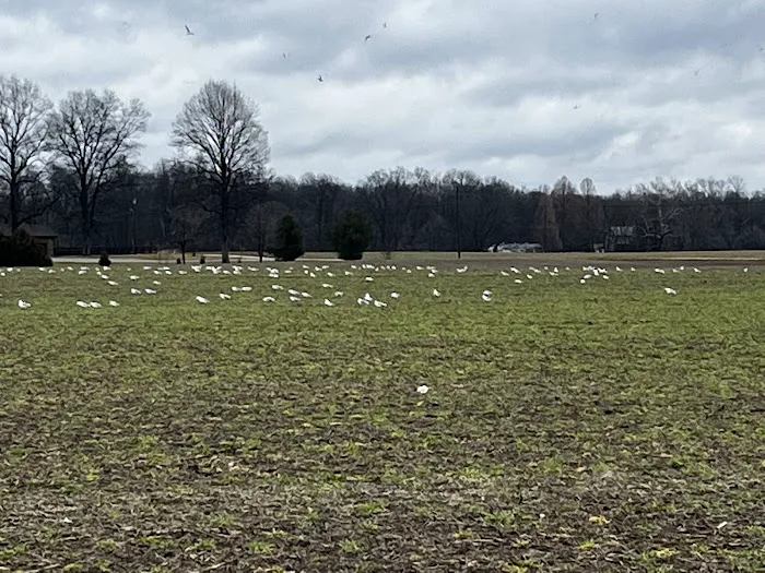 Norman Conservation Club Picture 1