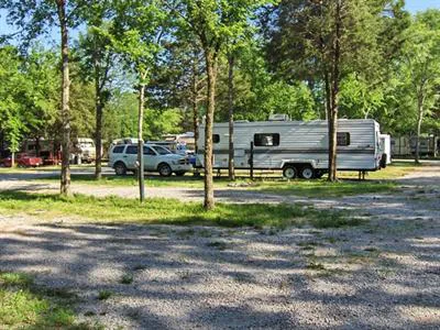 River Road RV Prk & Horse Cmp Picture 2