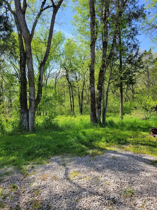 River Road RV Prk & Horse Cmp Picture 8
