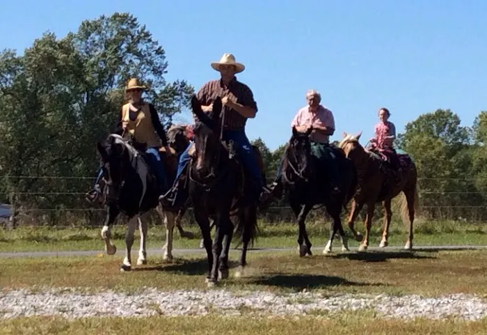 Harden's Horse Camp Picture 7