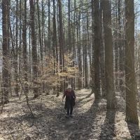 Hickory Ridge Horse Camp ico