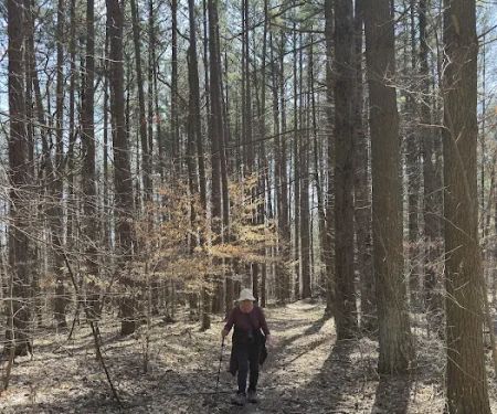 Hickory Ridge Horse Camp