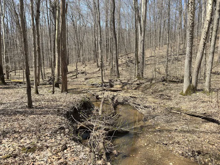 Hickory Ridge Horse Camp Picture 6