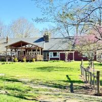 Camp Buckwood ico