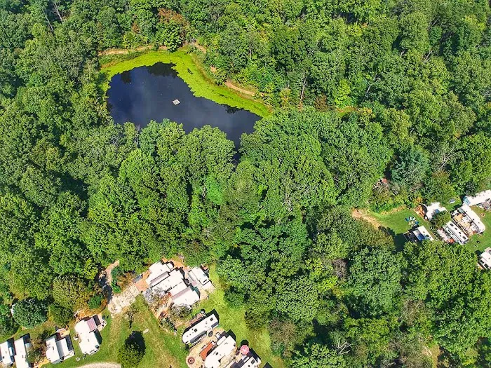 Camp Buckwood Picture 10