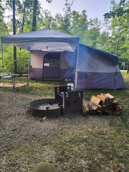 Yellowwood State Forest Camp Sites Picture 3