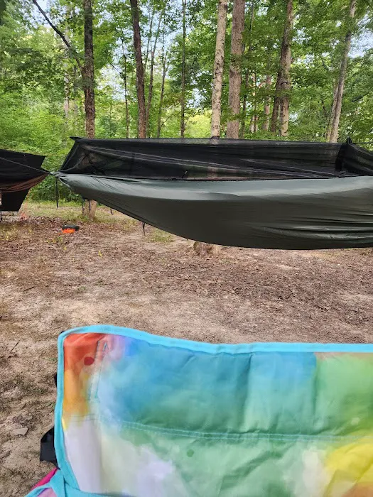 Yellowwood State Forest Camp Sites Picture 5