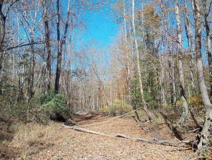 Yellowwood State Forest Camp Sites Picture 8