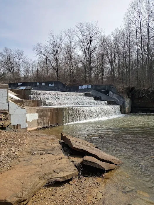 Yellowwood Campground Picture 2