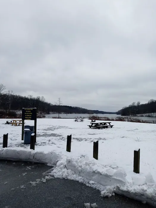 Yellowwood Campground Picture 4
