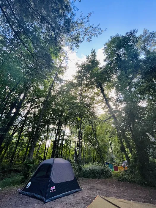 Bay City State Park Campground Picture 2