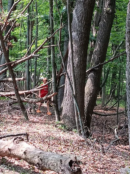 Bay City State Park Campground Picture 9
