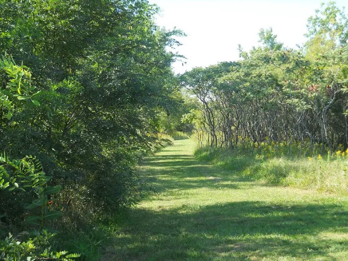 Sebewaing County Park Picture 3