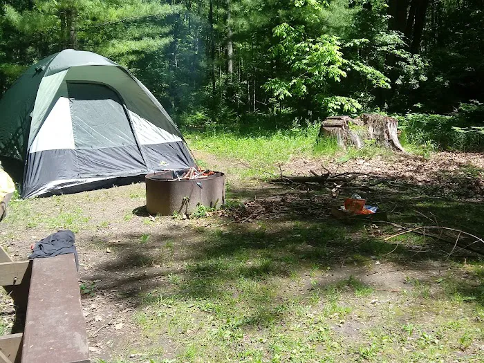 Black Creek State Forest Campground Picture 1