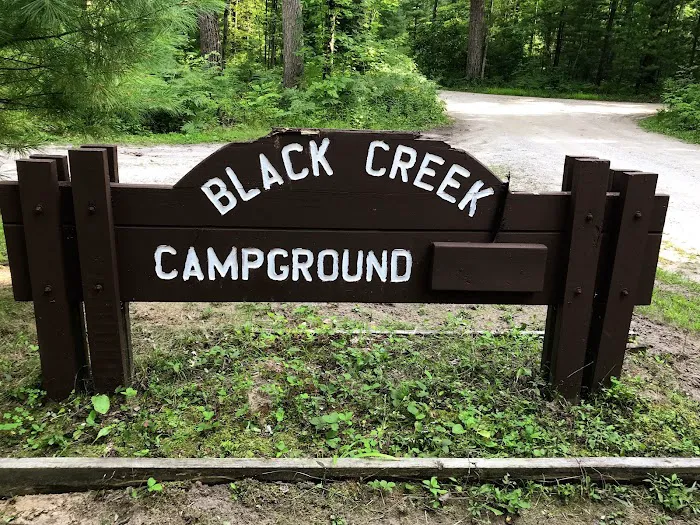Black Creek State Forest Campground Picture 4