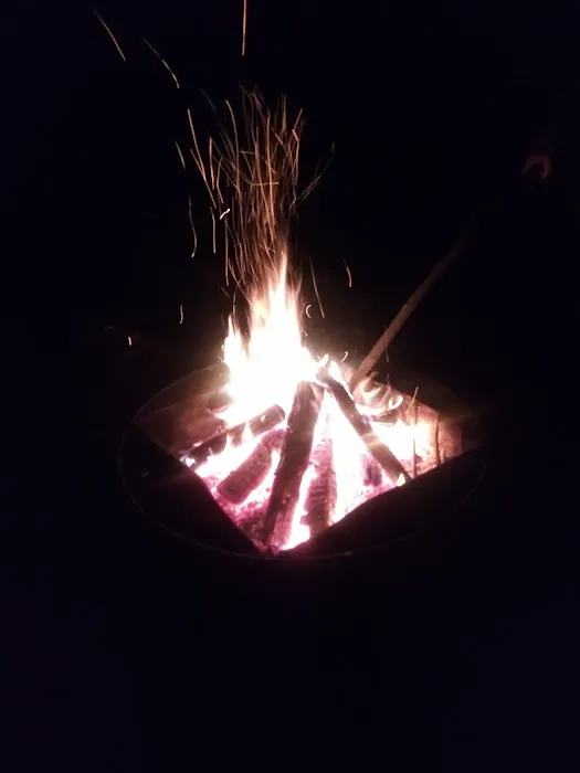 Black Creek State Forest Campground Picture 7