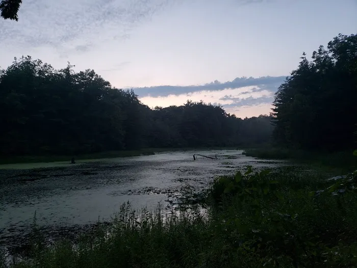 Black Creek State Forest Campground Picture 9