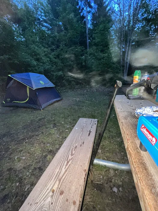 Black Creek State Forest Campground Picture 10