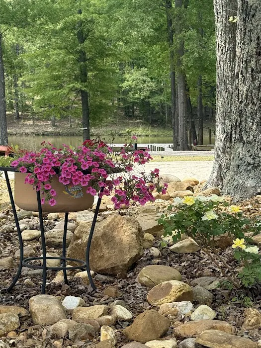 Salt Lick Cove Campground Picture 3