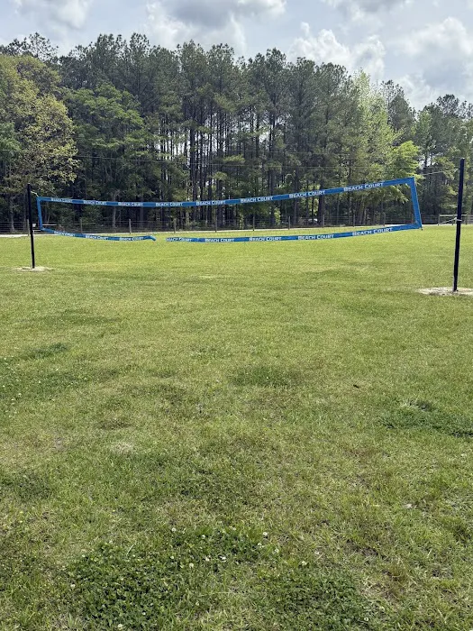 Salt Lick Cove Campground Picture 6