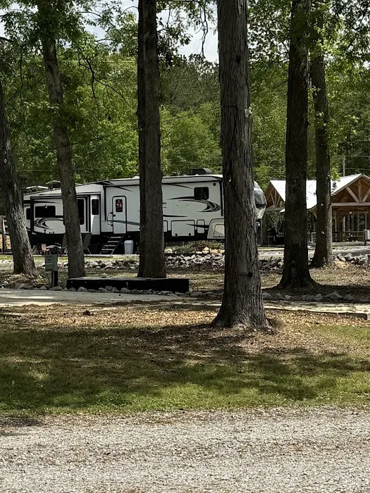 Salt Lick Cove Campground Picture 4