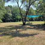 Mongos Meadow
