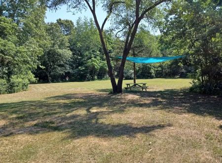 Mongos Meadow
