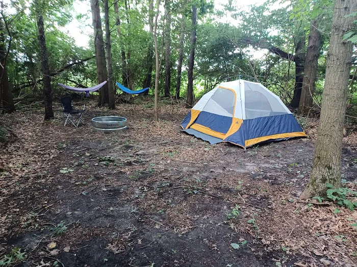 Mongos Meadow Picture 3
