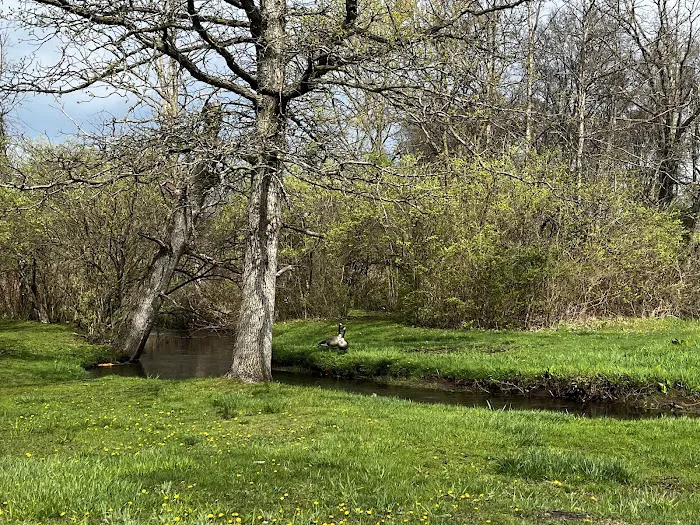 Spaulding Lake Campground Picture 6