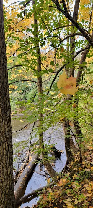 Riverfront Park Campground Picture 10